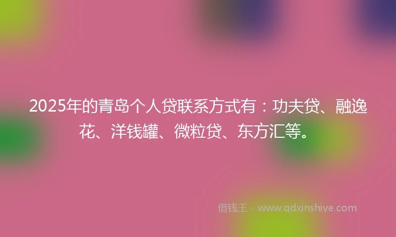 2025年的青岛个人贷联系方式有：功夫贷、融逸花、洋钱罐、微粒贷、东方汇等。