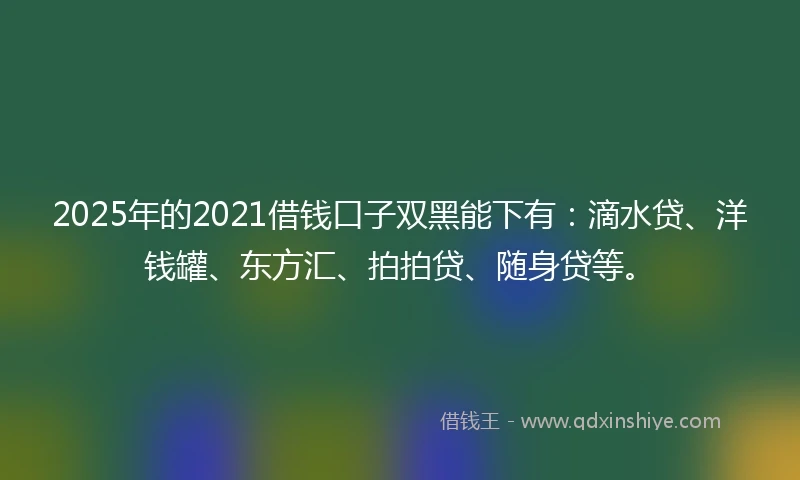 2025年的2021借钱口子双黑能下有：滴水贷、洋钱罐、东方汇、拍拍贷、随身贷等。