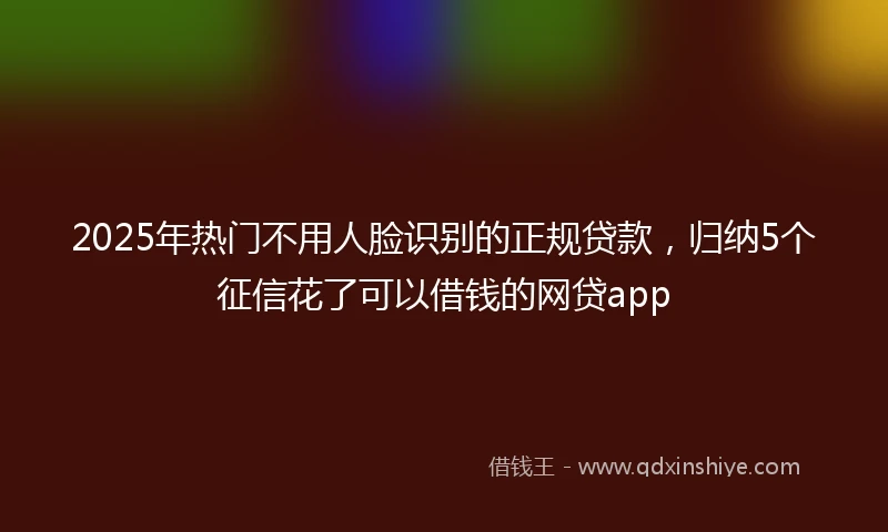 2025年热门不用人脸识别的正规贷款，归纳5个征信花了可以借钱的网贷app