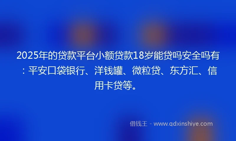 2025年的贷款平台小额贷款18岁能贷吗安全吗有：平安口袋银行、洋钱罐、微粒贷、东方汇、信用卡贷等。