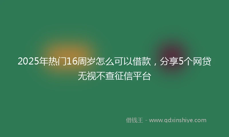 2025年热门16周岁怎么可以借款，分享5个网贷无视不查征信平台