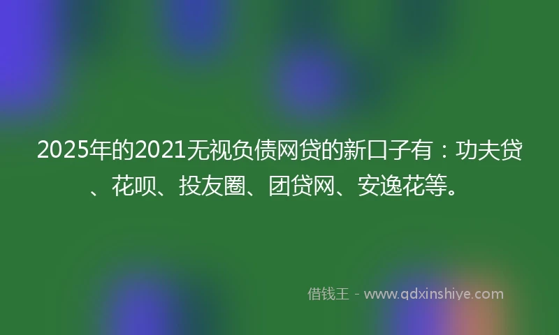 2025年的2021无视负债网贷的新口子有：功夫贷、花呗、投友圈、团贷网、安逸花等。