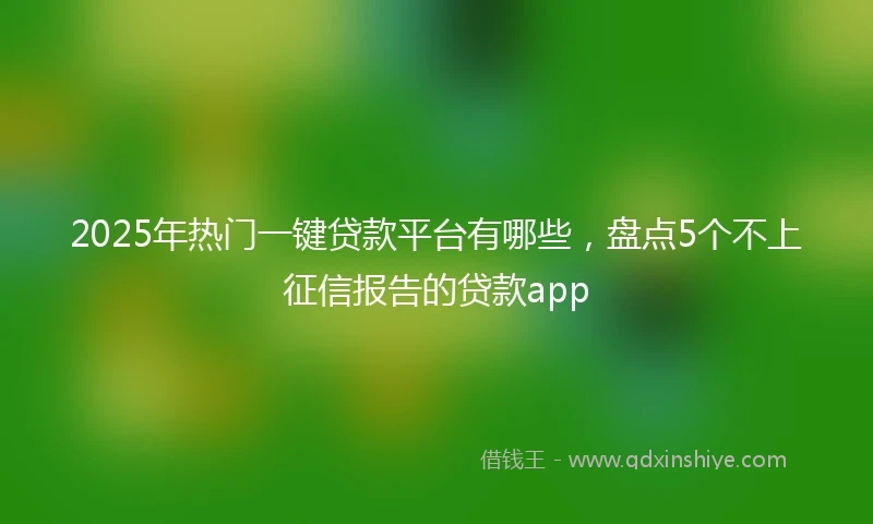 2025年热门一键贷款平台有哪些，盘点5个不上征信报告的贷款app