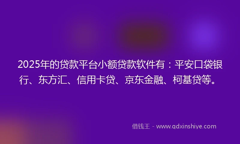 2025年的贷款平台小额贷款软件有：平安口袋银行、东方汇、信用卡贷、京东金融、柯基贷等。