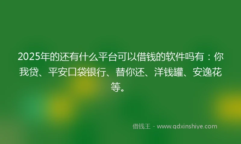 2025年的还有什么平台可以借钱的软件吗有：你我贷、平安口袋银行、替你还、洋钱罐、安逸花等。