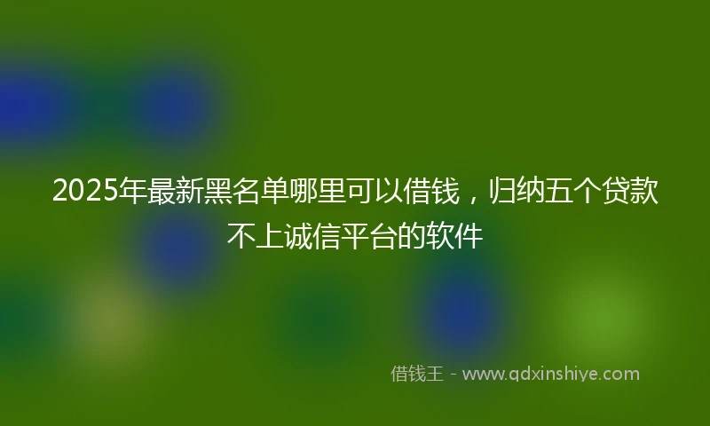 2025年最新黑名单哪里可以借钱，归纳五个贷款不上诚信平台的软件
