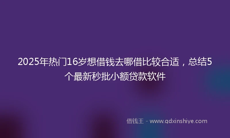 2025年热门16岁想借钱去哪借比较合适，总结5个最新秒批小额贷款软件