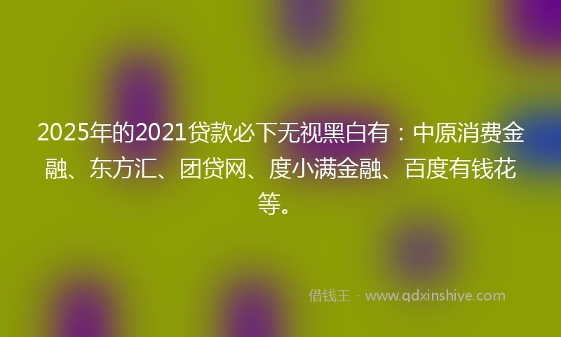 2025年的2021贷款必下无视黑白有：中原消费金融、东方汇、团贷网、度小满金融、百度有钱花等。