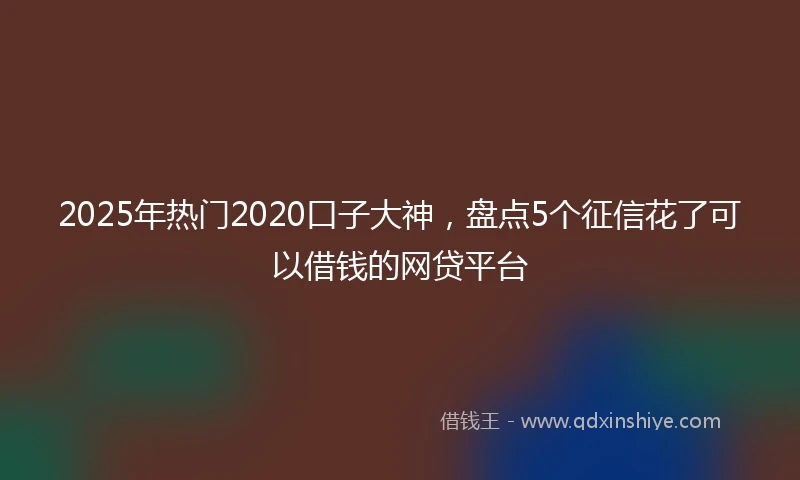 2025年热门2020口子大神，盘点5个征信花了可以借钱的网贷平台