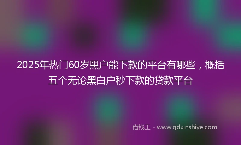 2025年热门60岁黑户能下款的平台有哪些，概括五个无论黑白户秒下款的贷款平台