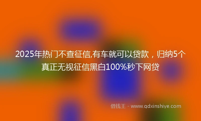 2025年热门不查征信,有车就可以贷款，归纳5个真正无视征信黑白100%秒下网贷