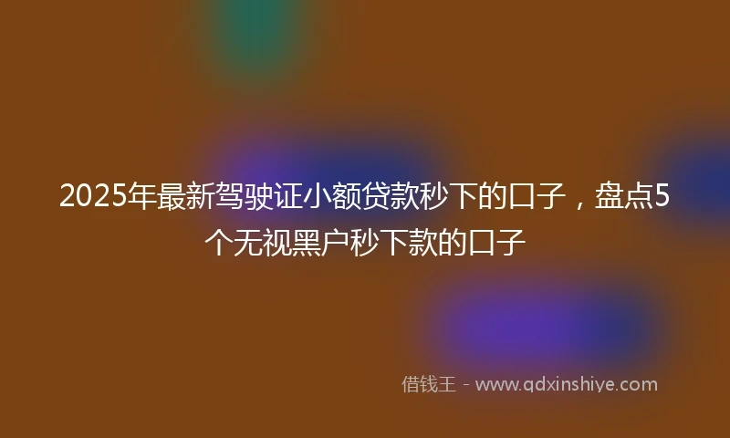 2025年最新驾驶证小额贷款秒下的口子，盘点5个无视黑户秒下款的口子