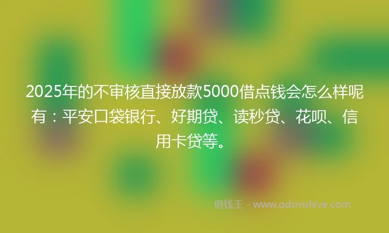 2025年的不审核直接放款5000借点钱会怎么样呢有：平安口袋银行、好期贷、读秒贷、花呗、信用卡贷等。