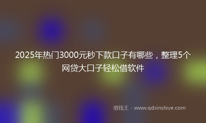 2025年热门3000元秒下款口子有哪些，整理5个网贷大口子轻松借软件