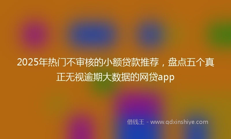 2025年热门不审核的小额贷款推荐，盘点五个真正无视逾期大数据的网贷app