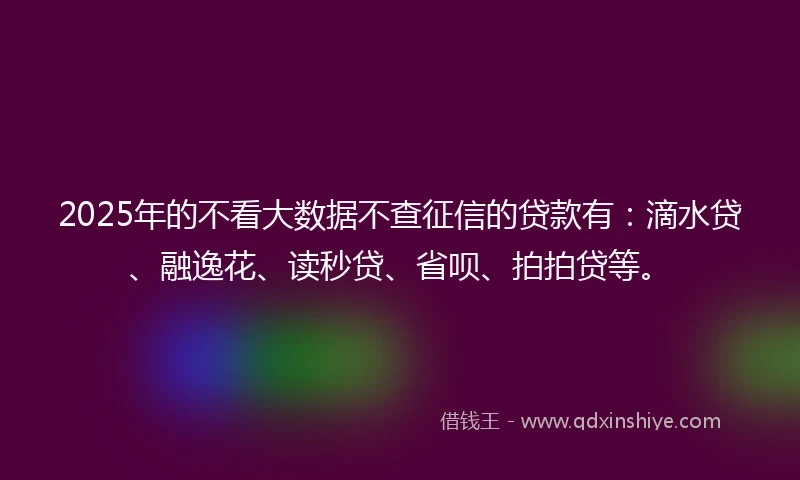 2025年的不看大数据不查征信的贷款有：滴水贷、融逸花、读秒贷、省呗、拍拍贷等。