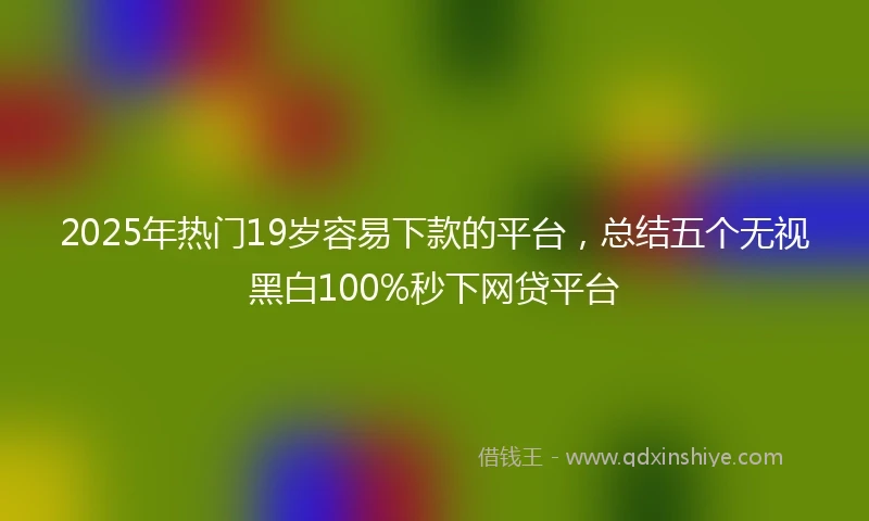 2025年热门19岁容易下款的平台，总结五个无视黑白100%秒下网贷平台