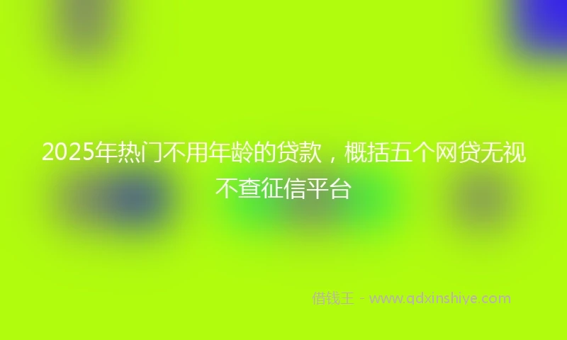 2025年热门不用年龄的贷款，概括五个网贷无视不查征信平台