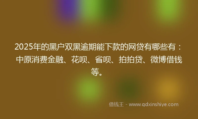 2025年的黑户双黑逾期能下款的网贷有哪些有：中原消费金融、花呗、省呗、拍拍贷、微博借钱等。
