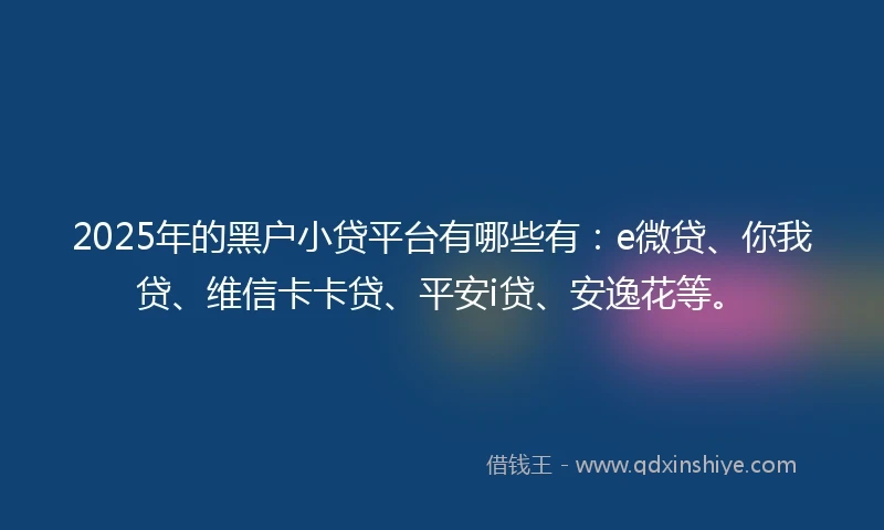 2025年的黑户小贷平台有哪些有：e微贷、你我贷、维信卡卡贷、平安i贷、安逸花等。