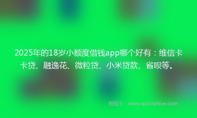 2025年的18岁小额度借钱app哪个好有：维信卡卡贷、融逸花、微粒贷、小米贷款、省呗等。