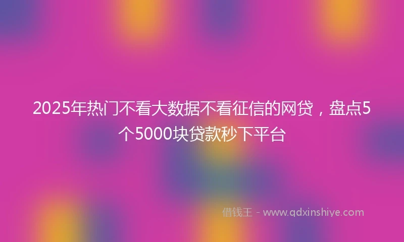 2025年热门不看大数据不看征信的网贷，盘点5个5000块贷款秒下平台