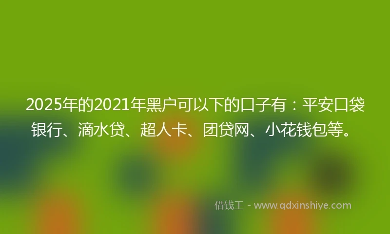 2025年的2021年黑户可以下的口子有：平安口袋银行、滴水贷、超人卡、团贷网、小花钱包等。