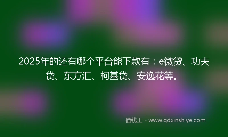 2025年的还有哪个平台能下款有：e微贷、功夫贷、东方汇、柯基贷、安逸花等。