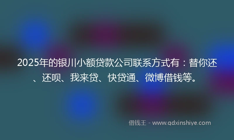 2025年的银川小额贷款公司联系方式有：替你还、还呗、我来贷、快贷通、微博借钱等。