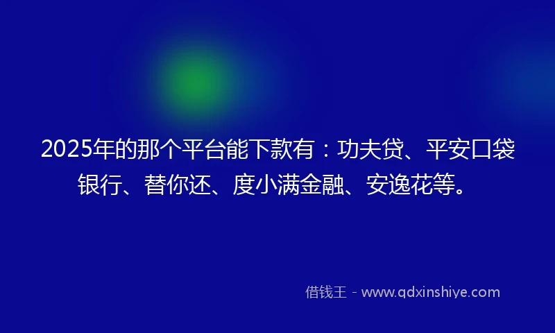 2025年的那个平台能下款有：功夫贷、平安口袋银行、替你还、度小满金融、安逸花等。