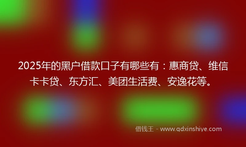 2025年的黑户借款口子有哪些有：惠商贷、维信卡卡贷、东方汇、美团生活费、安逸花等。