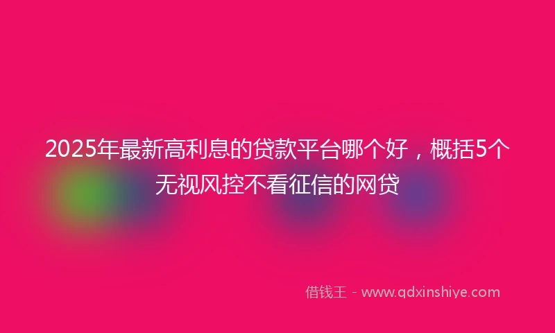 2025年最新高利息的贷款平台哪个好，概括5个无视风控不看征信的网贷