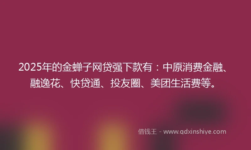 2025年的金蝉子网贷强下款有：中原消费金融、融逸花、快贷通、投友圈、美团生活费等。