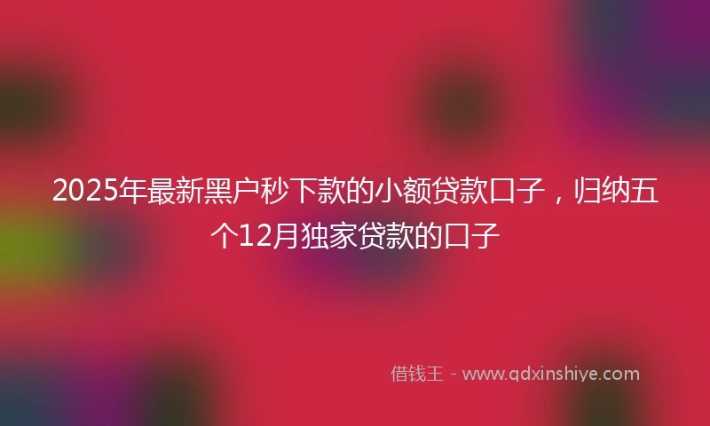 2025年最新黑户秒下款的小额贷款口子，归纳五个12月独家贷款的口子