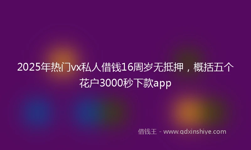 2025年热门vx私人借钱16周岁无抵押，概括五个花户3000秒下款app