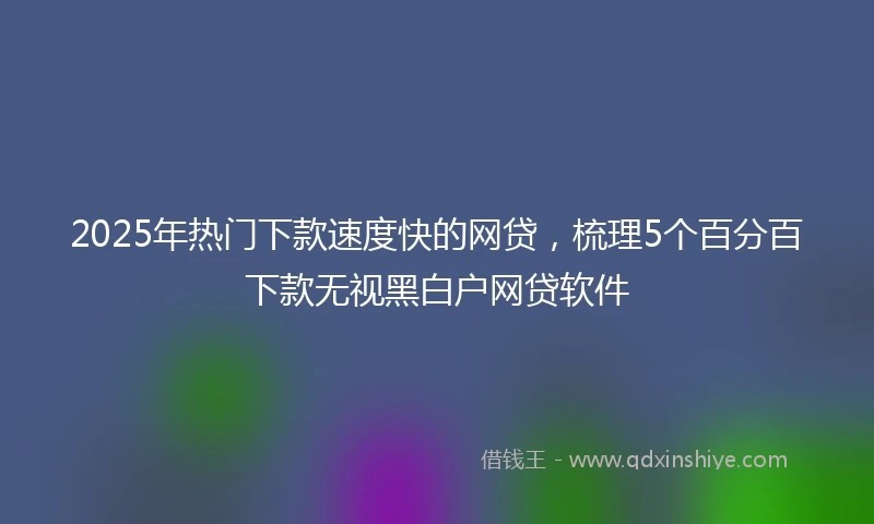 2025年热门下款速度快的网贷，梳理5个百分百下款无视黑白户网贷软件