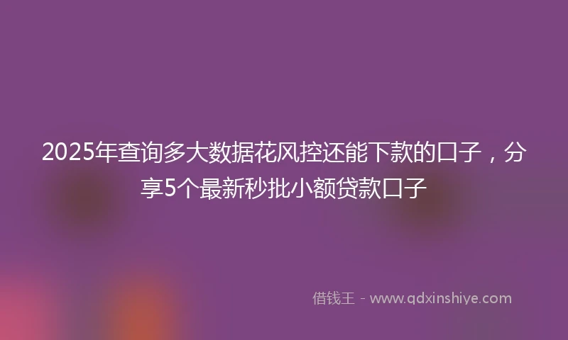 2025年查询多大数据花风控还能下款的口子，分享5个最新秒批小额贷款口子