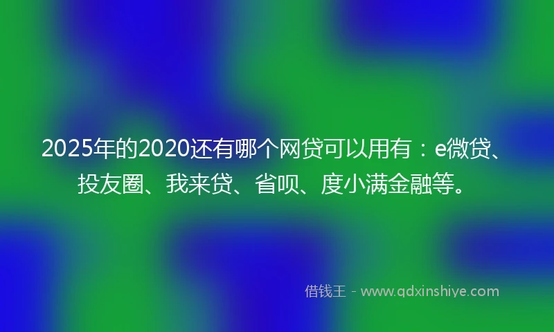 2025年的2020还有哪个网贷可以用有：e微贷、投友圈、我来贷、省呗、度小满金融等。
