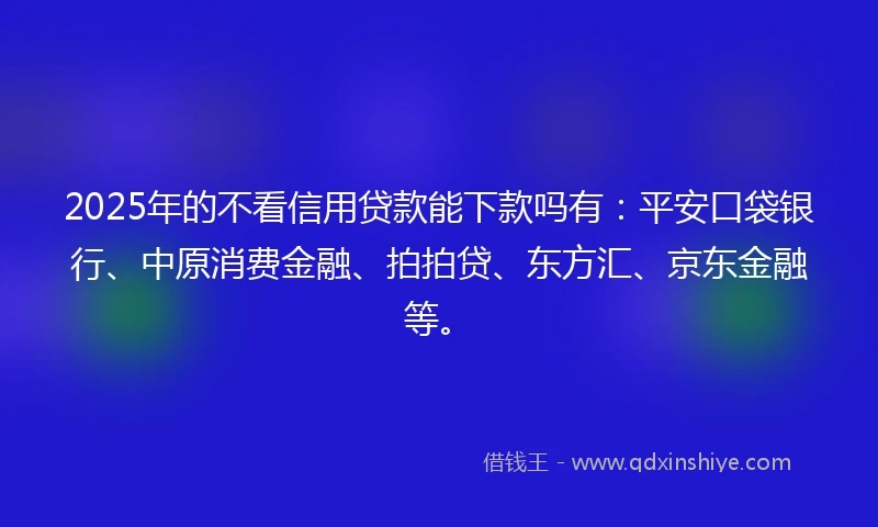 2025年的不看信用贷款能下款吗有：平安口袋银行、中原消费金融、拍拍贷、东方汇、京东金融等。