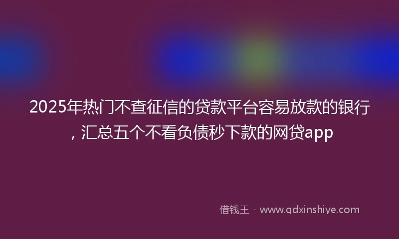 2025年热门不查征信的贷款平台容易放款的银行，汇总五个不看负债秒下款的网贷app