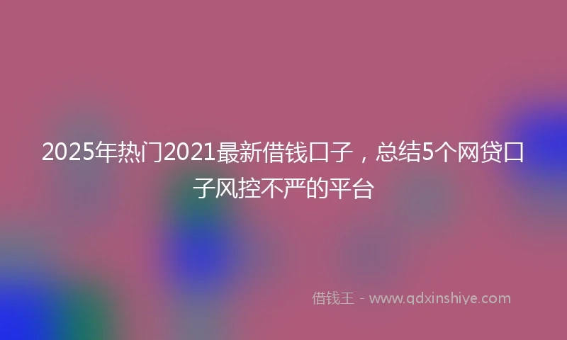 2025年热门2021最新借钱口子，总结5个网贷口子风控不严的平台