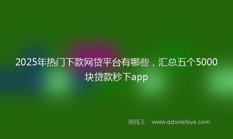 2025年热门下款网贷平台有哪些，汇总五个5000块贷款秒下app