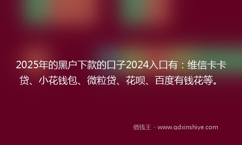 2025年的黑户下款的口子2024入口有：维信卡卡贷、小花钱包、微粒贷、花呗、百度有钱花等。