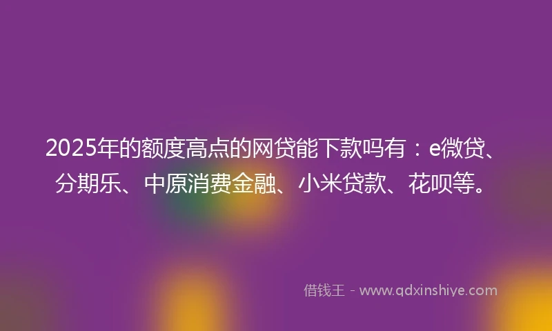 2025年的额度高点的网贷能下款吗有：e微贷、分期乐、中原消费金融、小米贷款、花呗等。