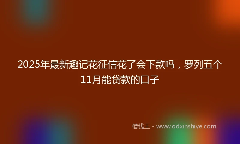 2025年最新趣记花征信花了会下款吗，罗列五个11月能贷款的口子