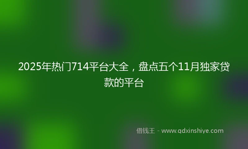 2025年热门714平台大全，盘点五个11月独家贷款的平台