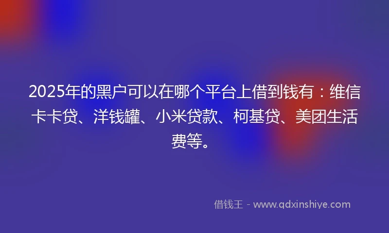 2025年的黑户可以在哪个平台上借到钱有：维信卡卡贷、洋钱罐、小米贷款、柯基贷、美团生活费等。