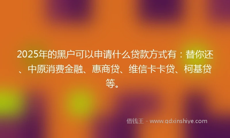2025年的黑户可以申请什么贷款方式有：替你还、中原消费金融、惠商贷、维信卡卡贷、柯基贷等。