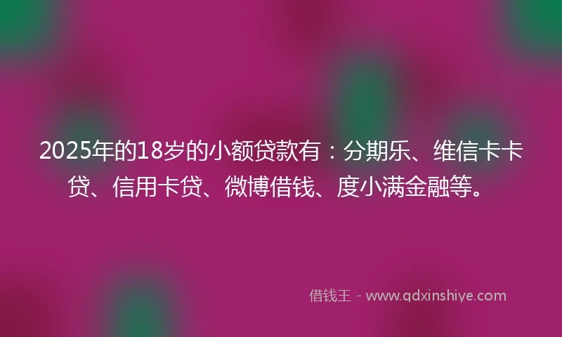 2025年的18岁的小额贷款有：分期乐、维信卡卡贷、信用卡贷、微博借钱、度小满金融等。