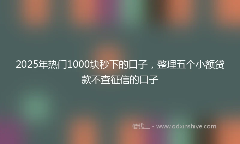 2025年热门1000块秒下的口子，整理五个小额贷款不查征信的口子
